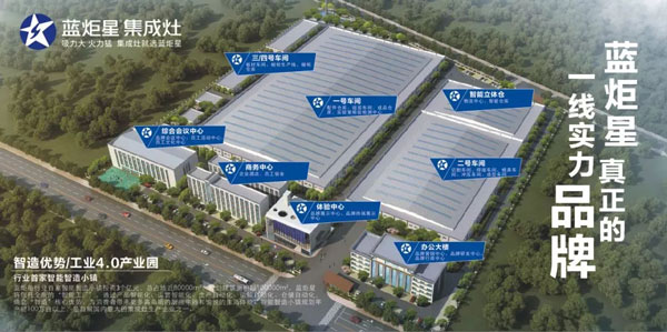 嵊州市市委副书记、市长严钢一行领导督察蓝炬星集成灶2019年重点建设项目
